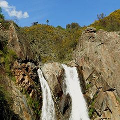 photo "Waterfall II"