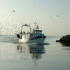 photo "coming back to port..."