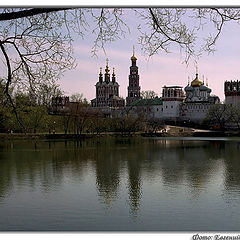 photo "Novodevichiy monastery"