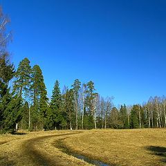 photo "Where you conduct, a footpath narrow?"