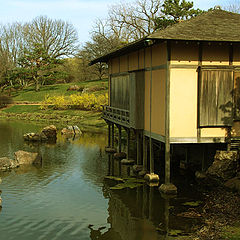 photo "Hut of the uncle Tom"