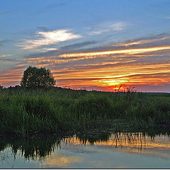 photo "Sunset composition"