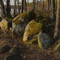 фото "Камушки"