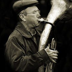 photo "musician"