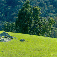 photo "EQUS"