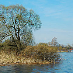 фото "У берегов Волги - 2"