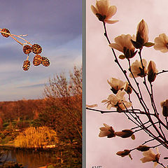 фото "весна"