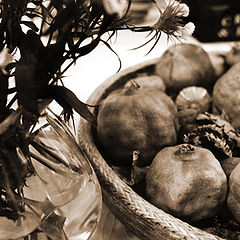 photo "Fruits"
