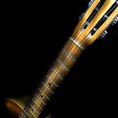 photo "night guitar"