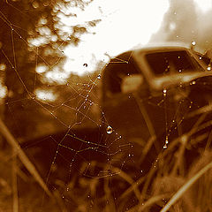 photo "The life & Obsolescence"