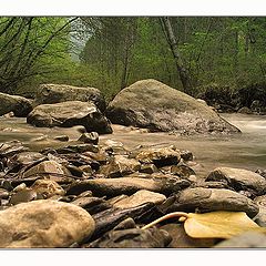 photo "noise of a stream..."