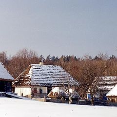 photo "the Winter Family"