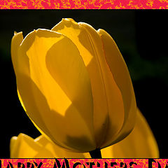 photo "Happy Mothers Day"