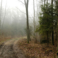 photo "one way, no another..."