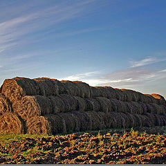 photo "Island among an arable land"