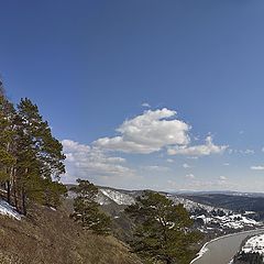 фото "Весенняя открытка"