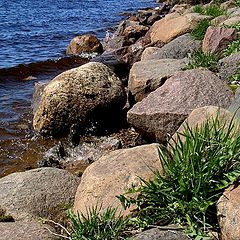 photo "Coast of a life."