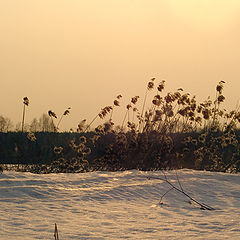 photo "Warm winter evening"