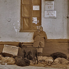 фото "Тупик Счастья"