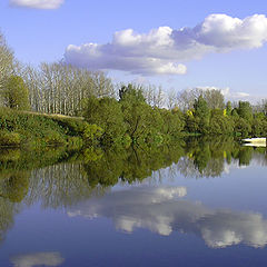 photo "The Silence"