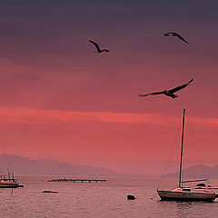 photo "Santo Antonio de Lisboa"