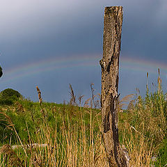 фото "Rainbow Children! It`s Time to Rise!"