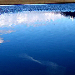 фото "looking down to the sky"