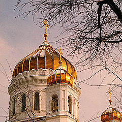 photo "The Cathedral of Christ the Saviour"