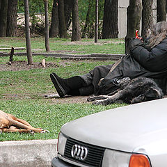 фото "Зеркальце"