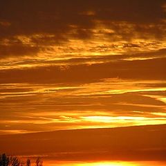 фото "sunset in Holland"