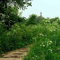 photo "Morning track to a temple"