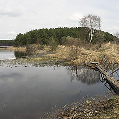 фото "На оз. Селигер"