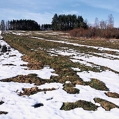 фото "весною в поле"