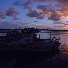 photo "Canto do Mangue"