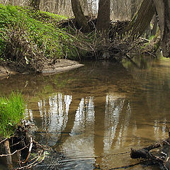 photo "May day"