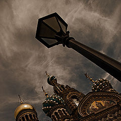 photo "Shot № 6341. Saint-Petersburg."