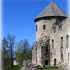 photo "Castle of Master of Livonian Order"