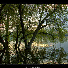 photo "Graphics of the High Water"