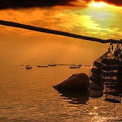 photo "Oysters hunters"