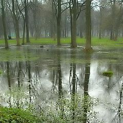 photo "After a May rain"