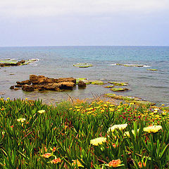 photo "Spring and sea"