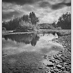 photo "about summer morning before a rain..."