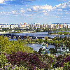 фото "сиреневые свадьбы"