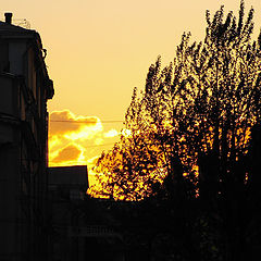 photo "Silhouettes of old city"