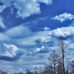 photo "Clouds of spring park"