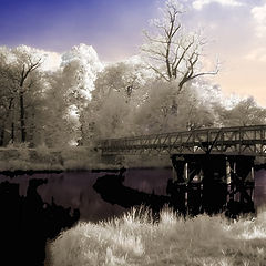 photo "bridge"