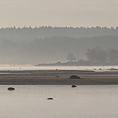 photo "The Baltic morning"