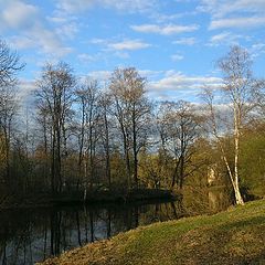 photo "May evening on island Elagin"