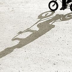 photo "bicycle"