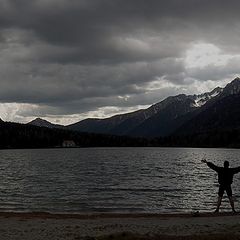 photo "freedom"